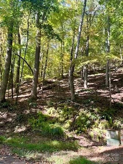 TBD Hickory Vista Lane 101, 102, 103, 106, 107 Mills River NC 28759