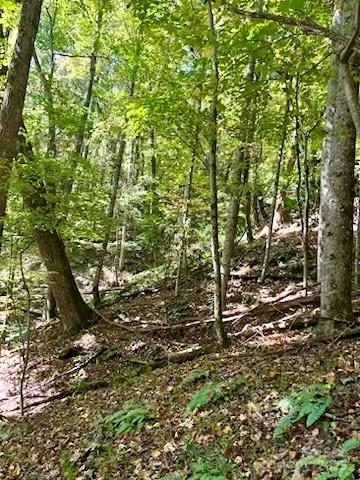 TBD Hickory Vista Lane 101, 102, 103, 106, 107