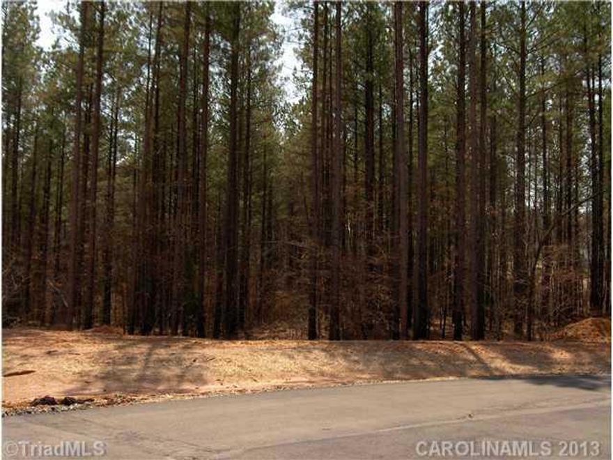 25.20 Ac. undeveloped tract inside of Swicegood Farms. Great development opportunity. Owner will also package 26 available lots in Swicegood Farms, Phase III with 25.2 Acre tract for a total price of $385. Phase III lots have paved roads, natural gas available, public water available, and perk permits on file. Owner will entertain offers on combined tracts. Call Frankie for more info.