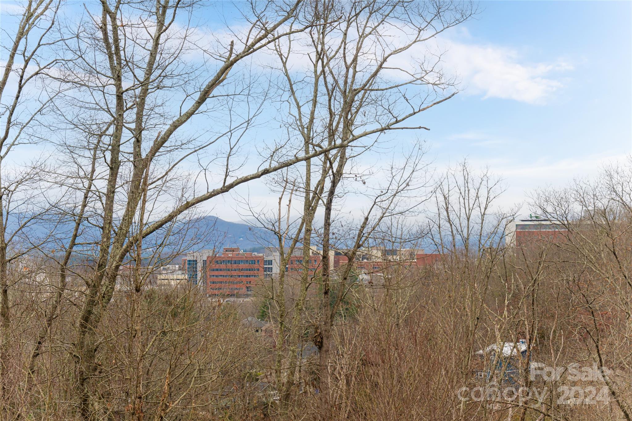 Beaucatcher Heights - Residential