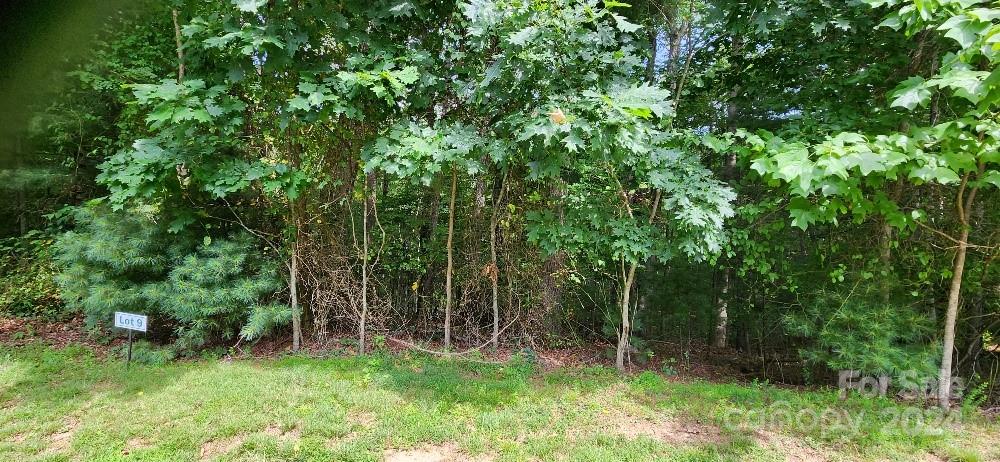 Barebridge Fields - Land