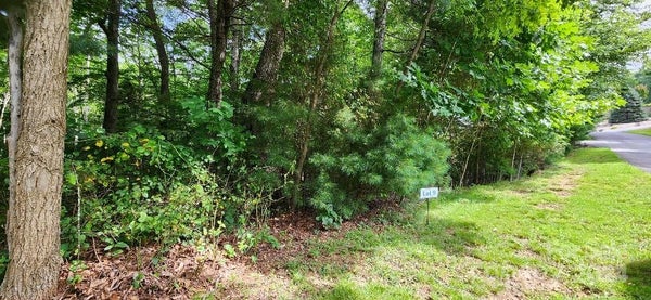 BAREBRIDGE DR, BURNSVILLE, NC 28714 - Image b8fd4b38ee16b9a8c8f1bee2f9f364ef/2212313433