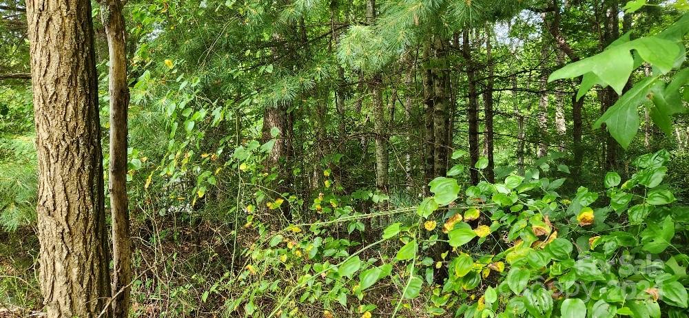 00000 Barebridge Drive 9