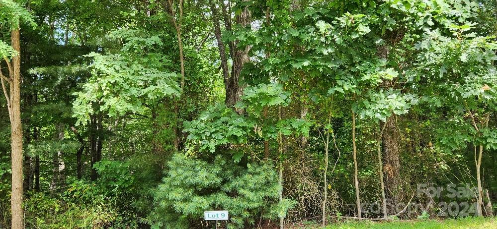 Barebridge Fields - Land