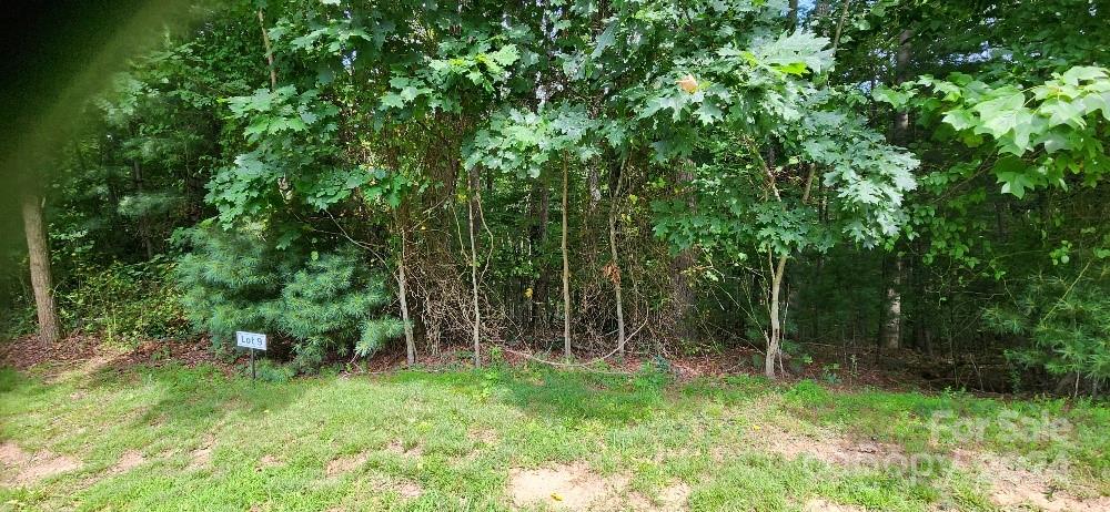 Barebridge Fields - Land