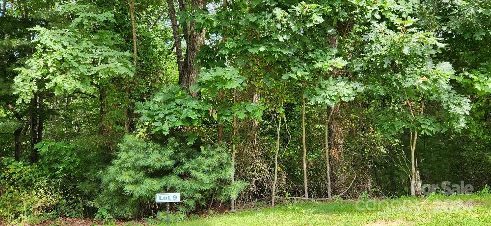 Barebridge Fields - Land