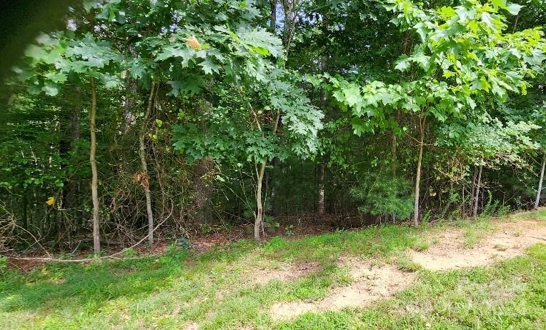 Barebridge Fields - Land