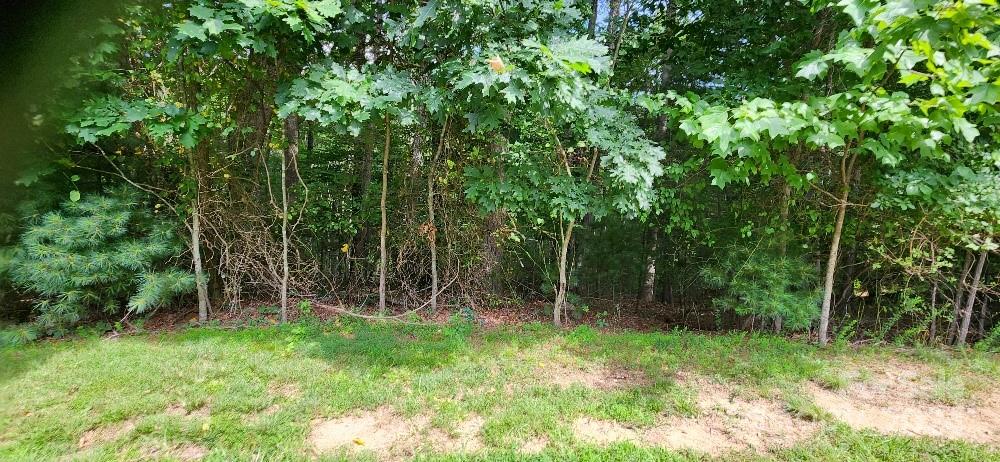 Barebridge Fields - Land