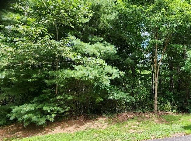 Barebridge Fields - Land