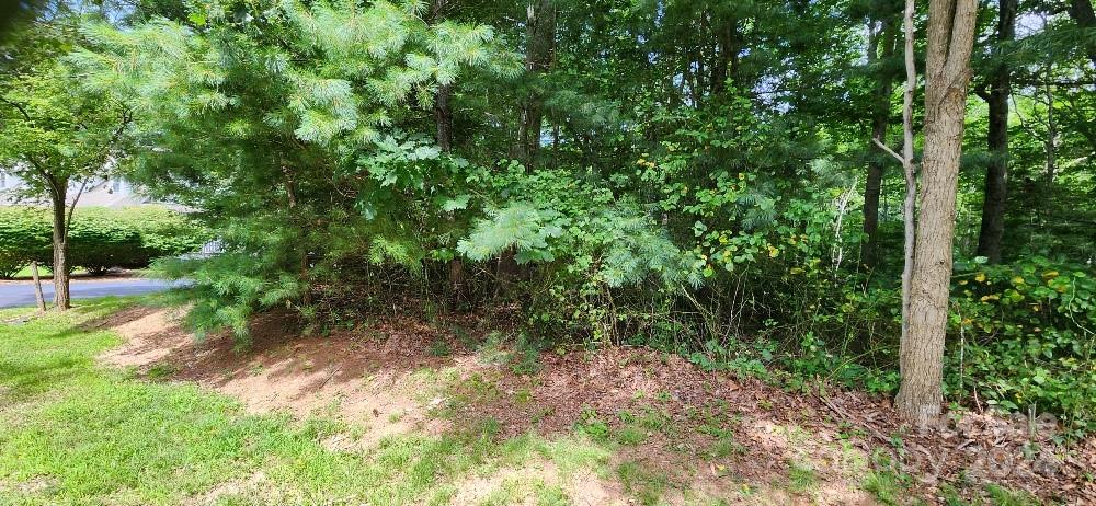 00000 Barebridge Drive 9