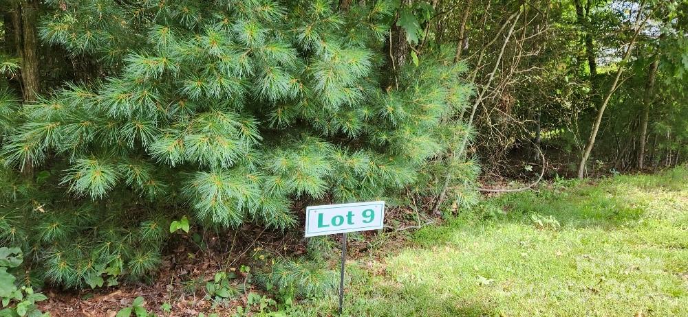 00000 Barebridge Drive 9