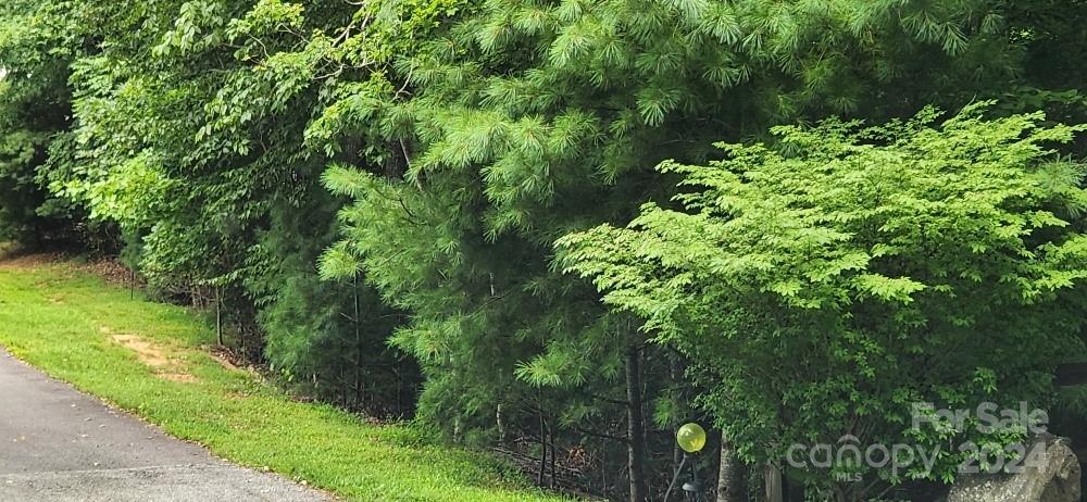 Barebridge Fields - Land