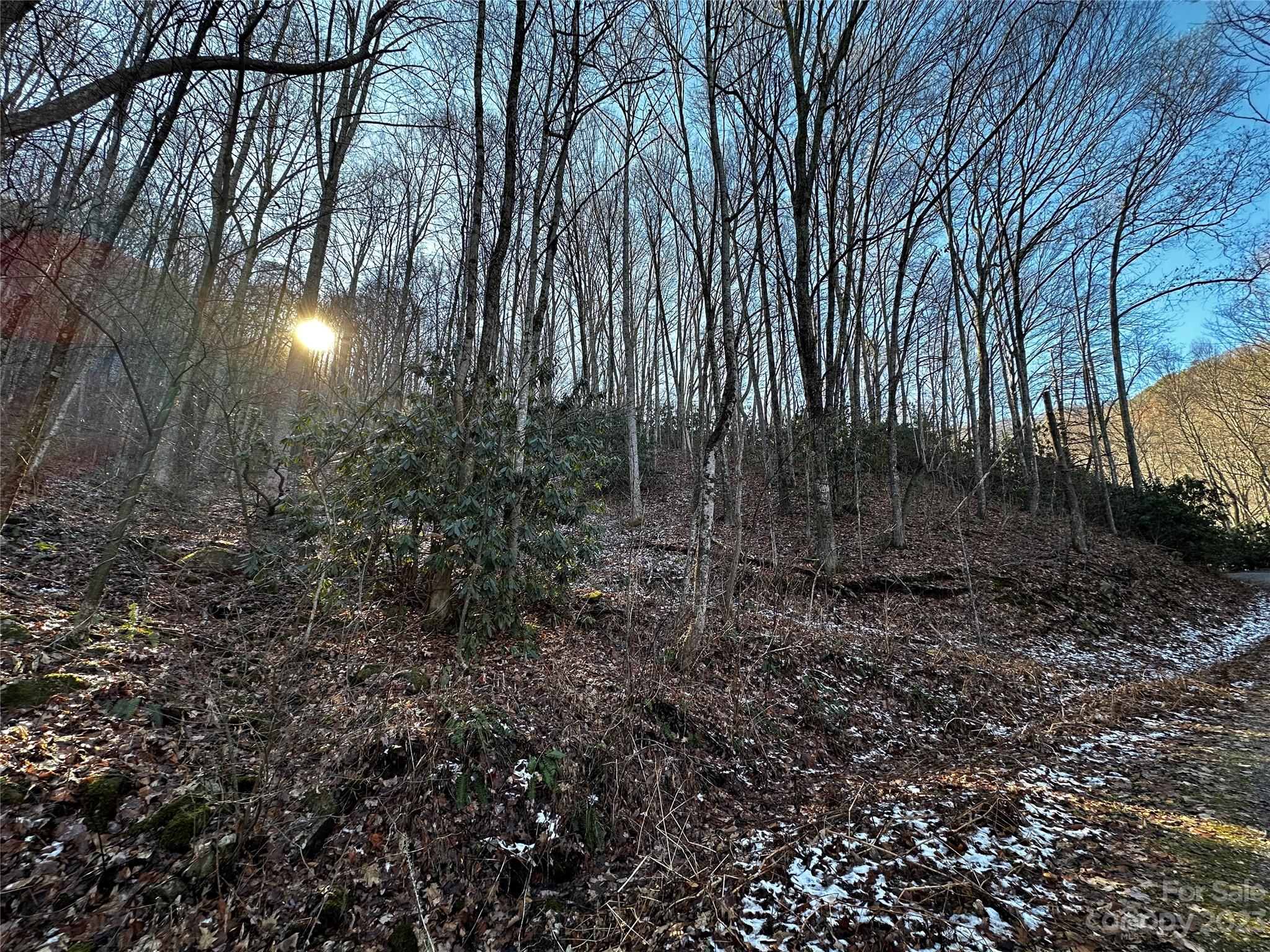 Lickstone View Ii - Land