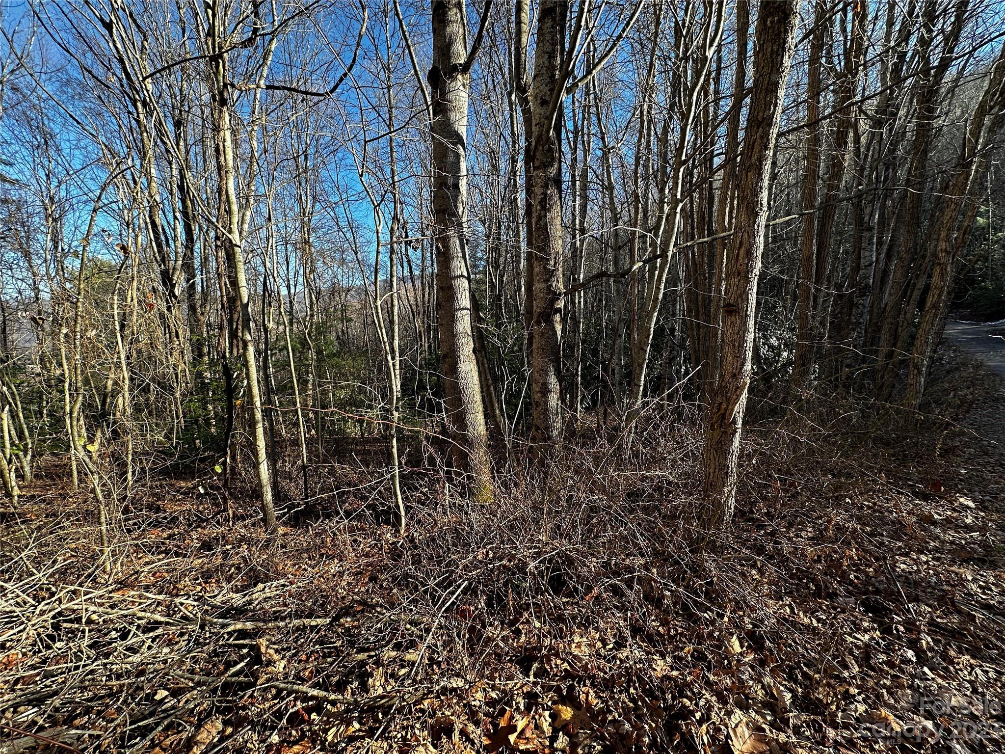 Lickstone View Ii - Land