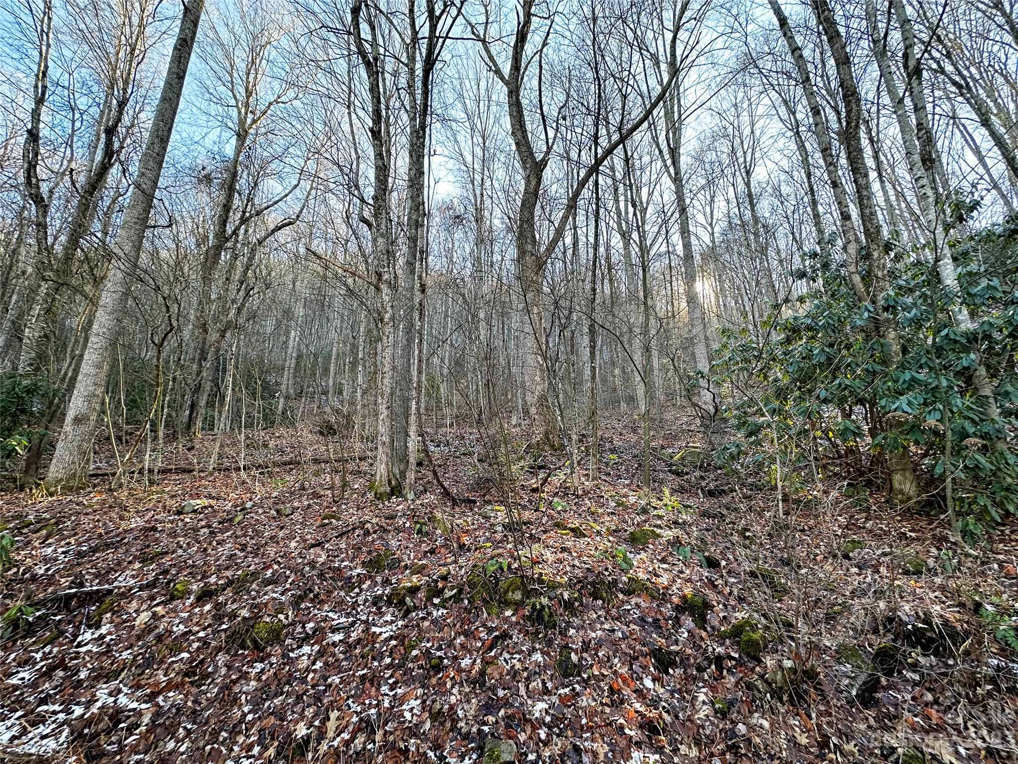 Lickstone View Ii - Land