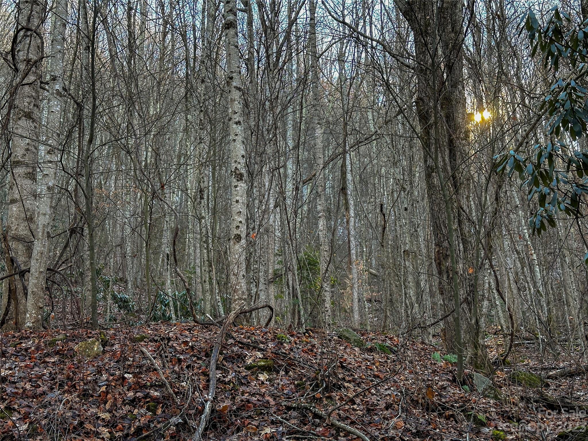 Lickstone View Ii - Land