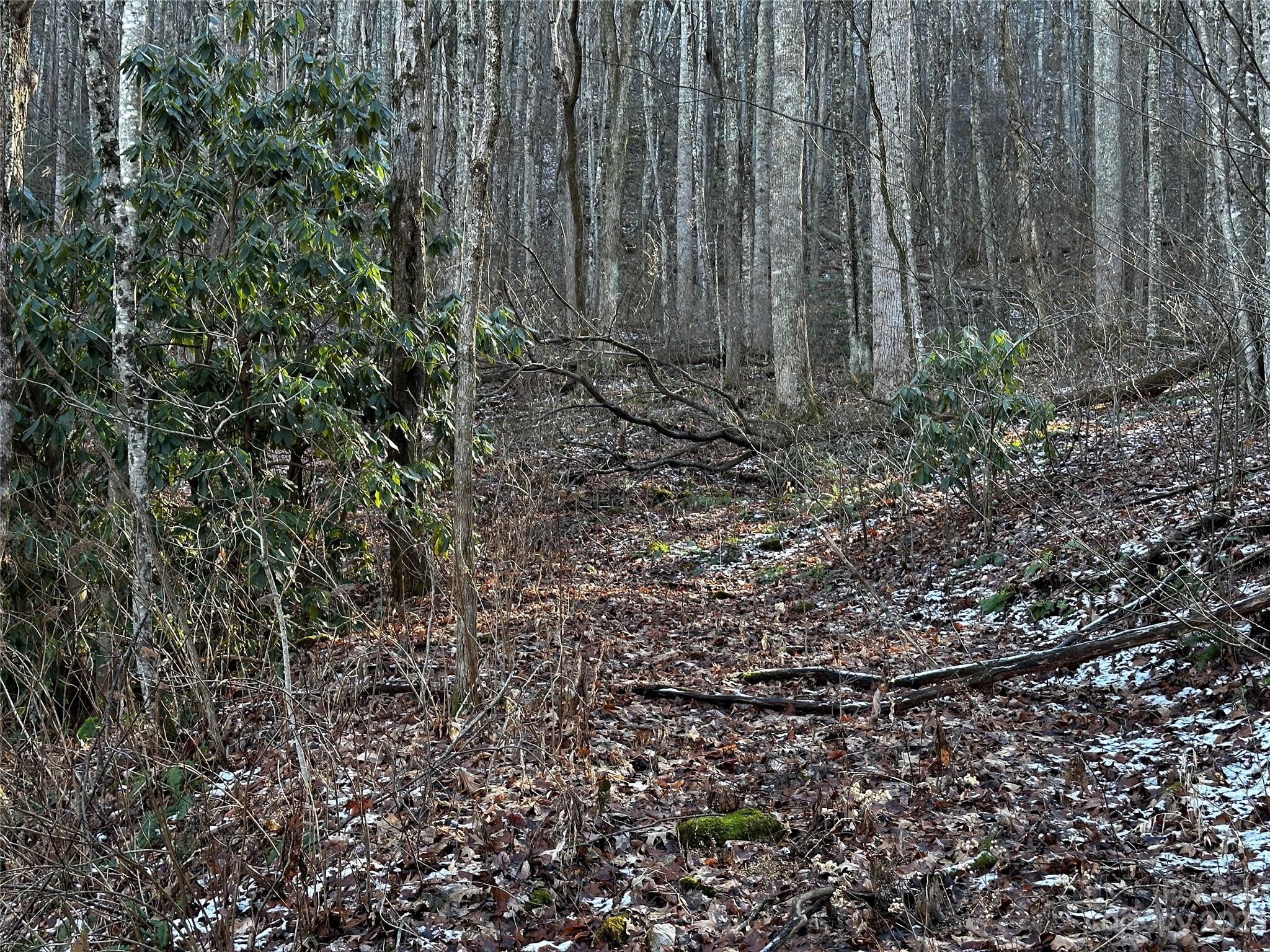 Lickstone View Ii - Land