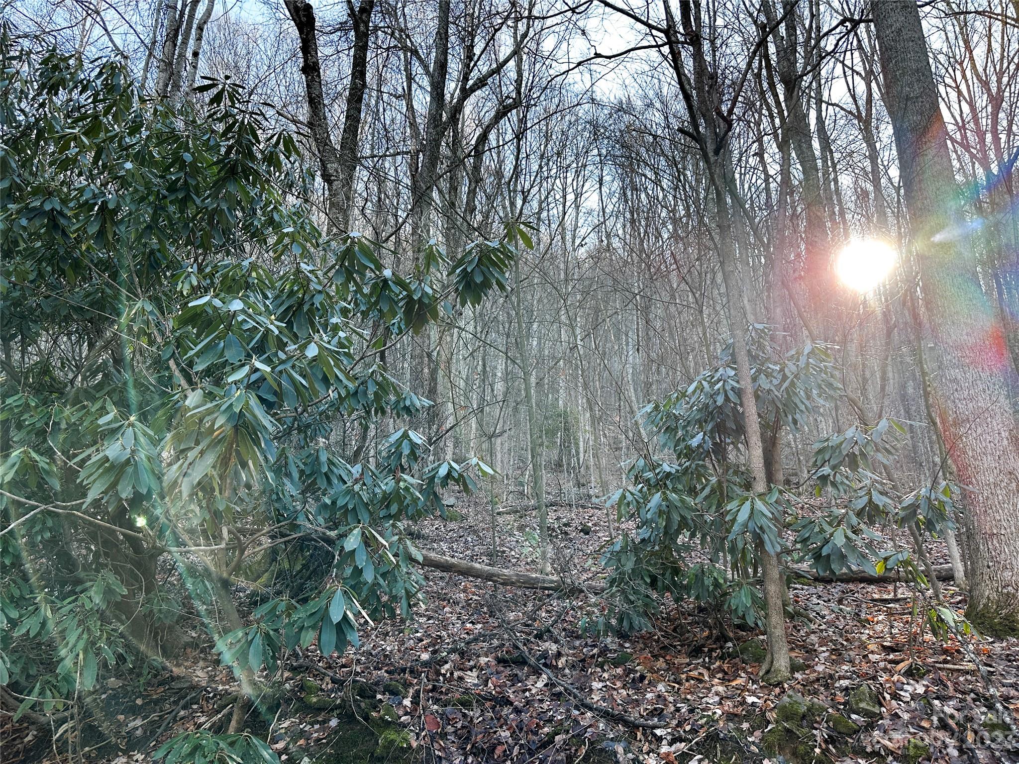 Lickstone View Ii - Land