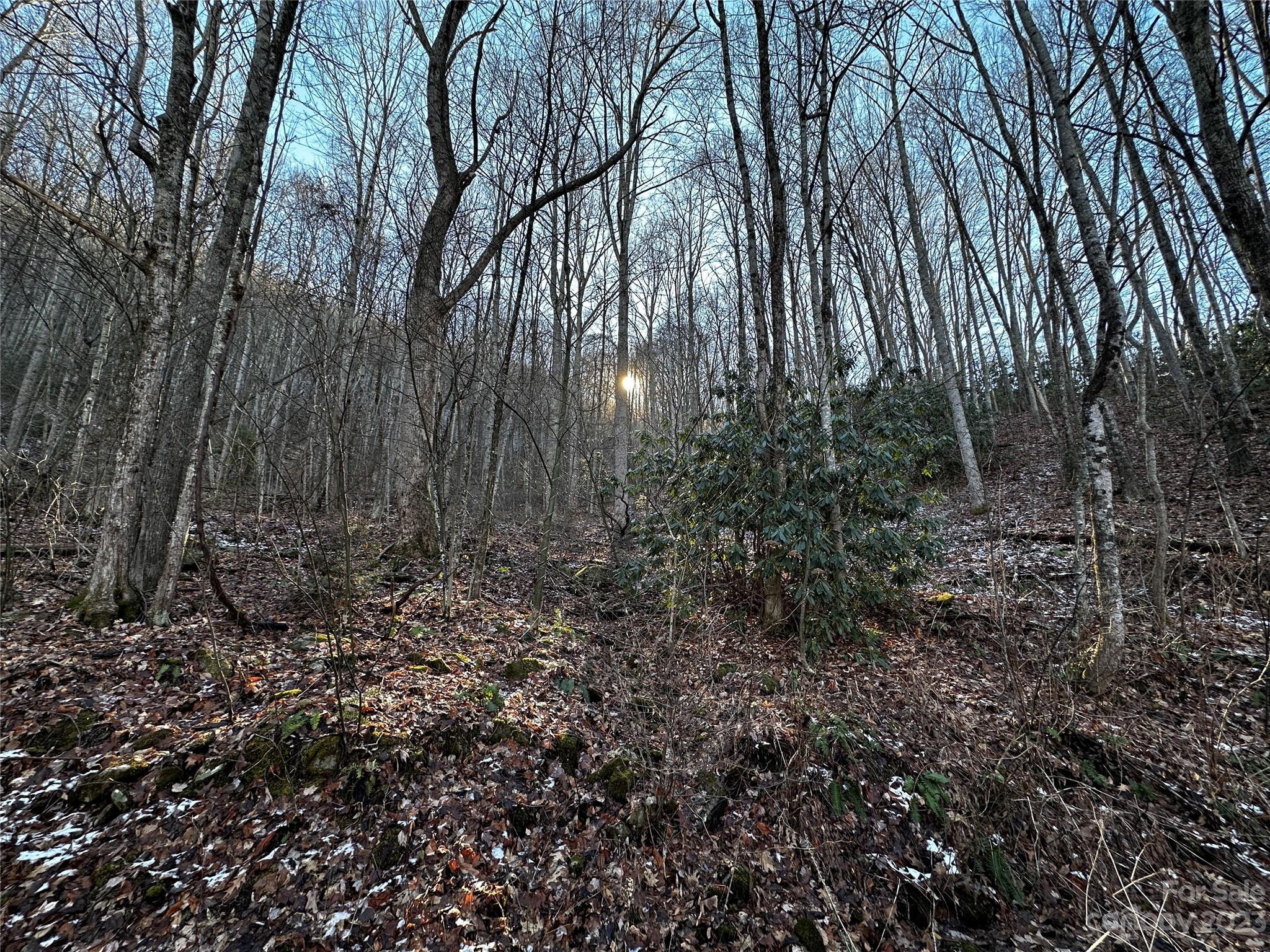 Lickstone View Ii - Land