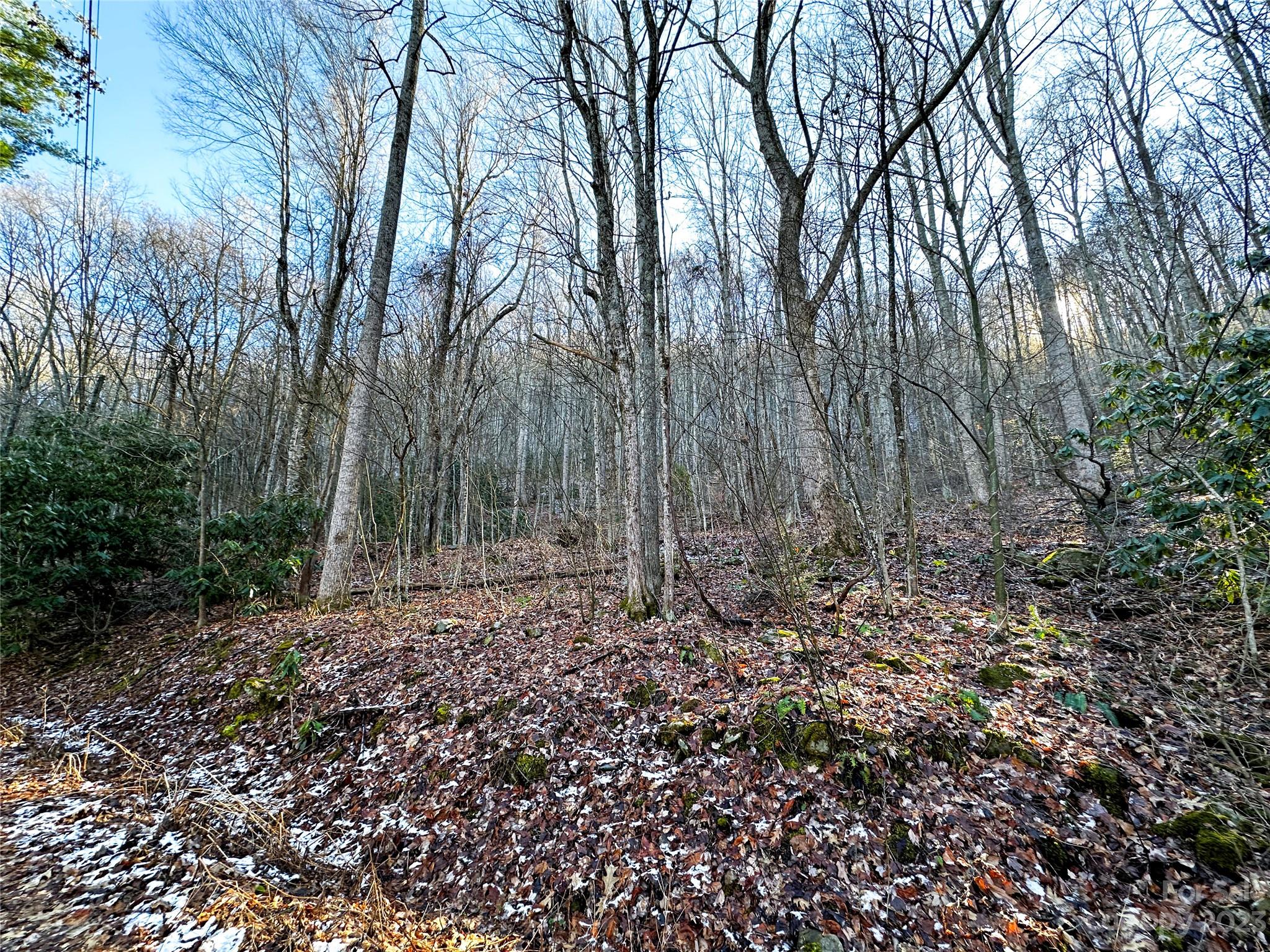 Lickstone View Ii - Land