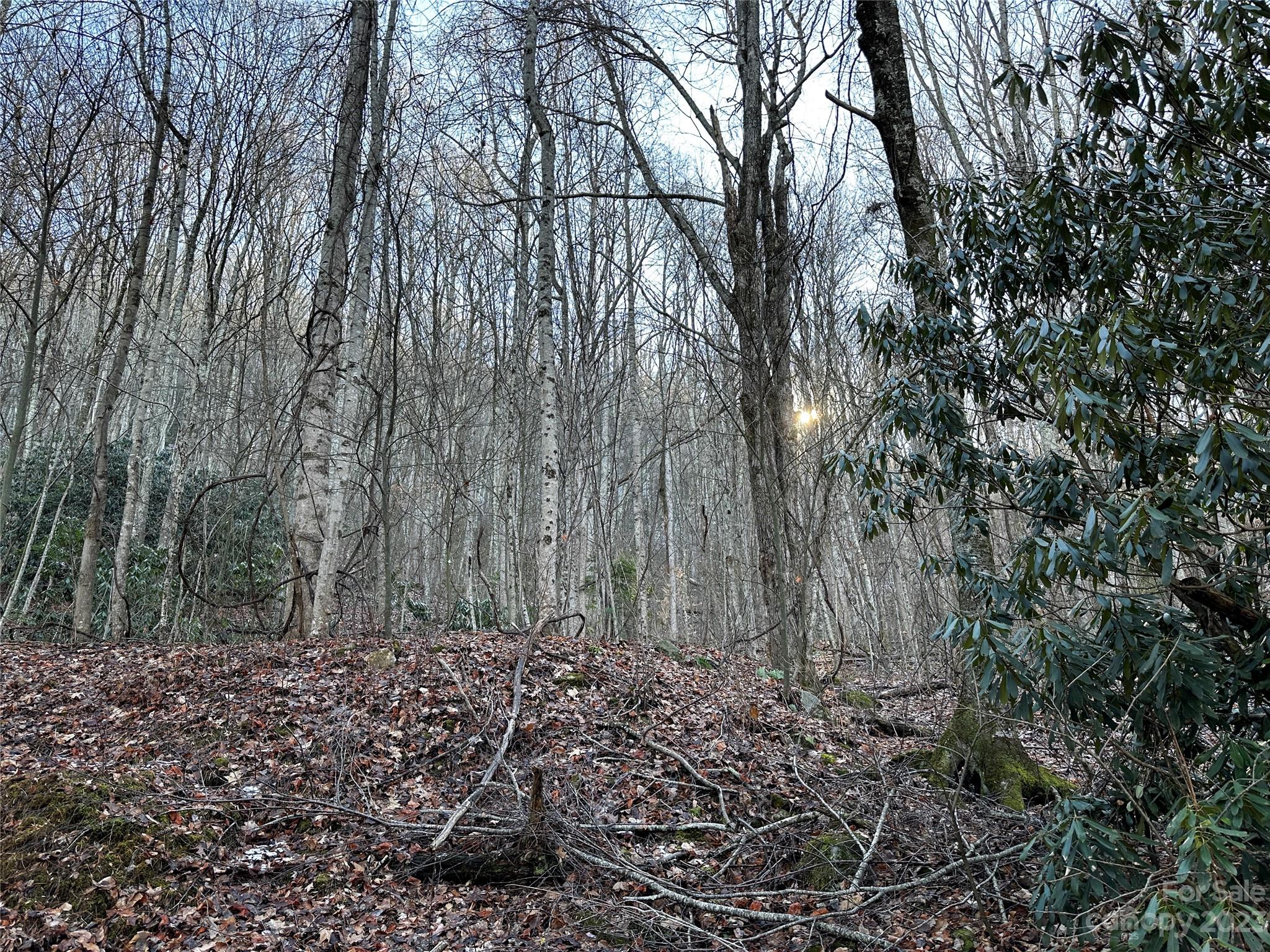 Lickstone View Ii - Land