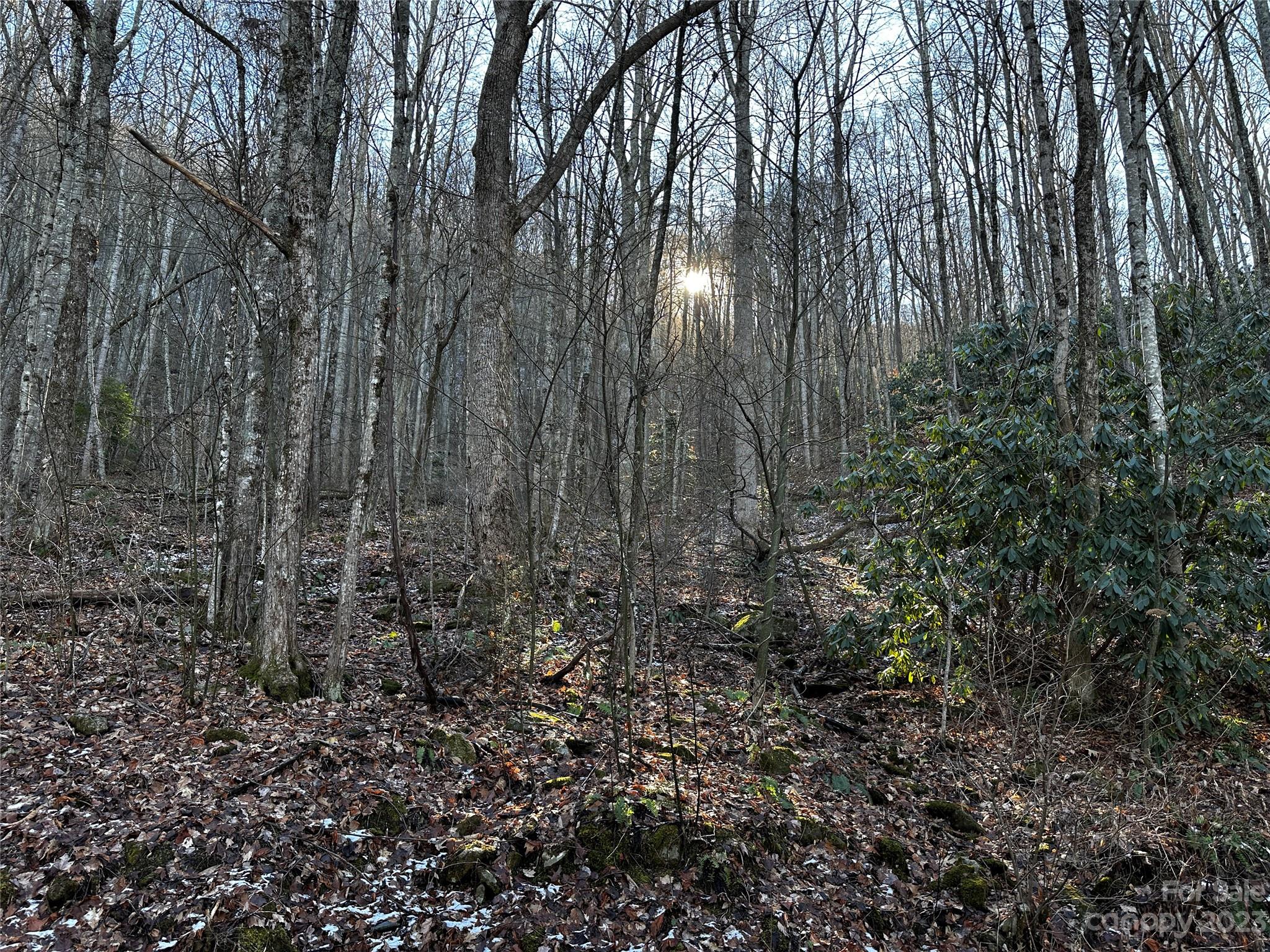 Lickstone View Ii - Land