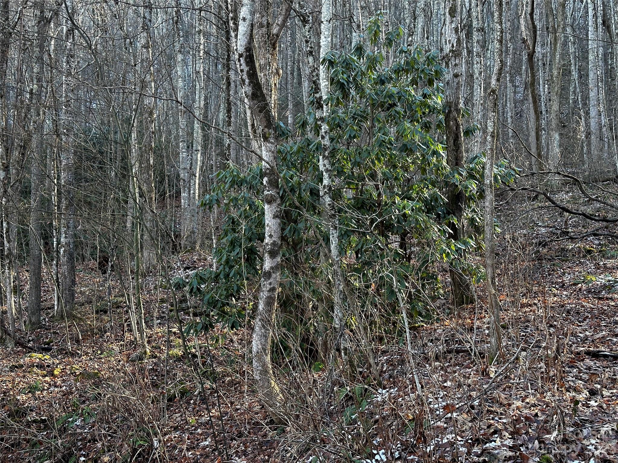 Lickstone View Ii - Land