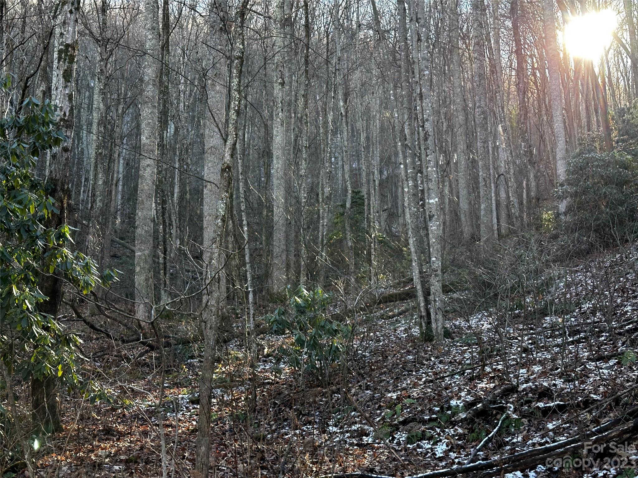 Lickstone View Ii - Land