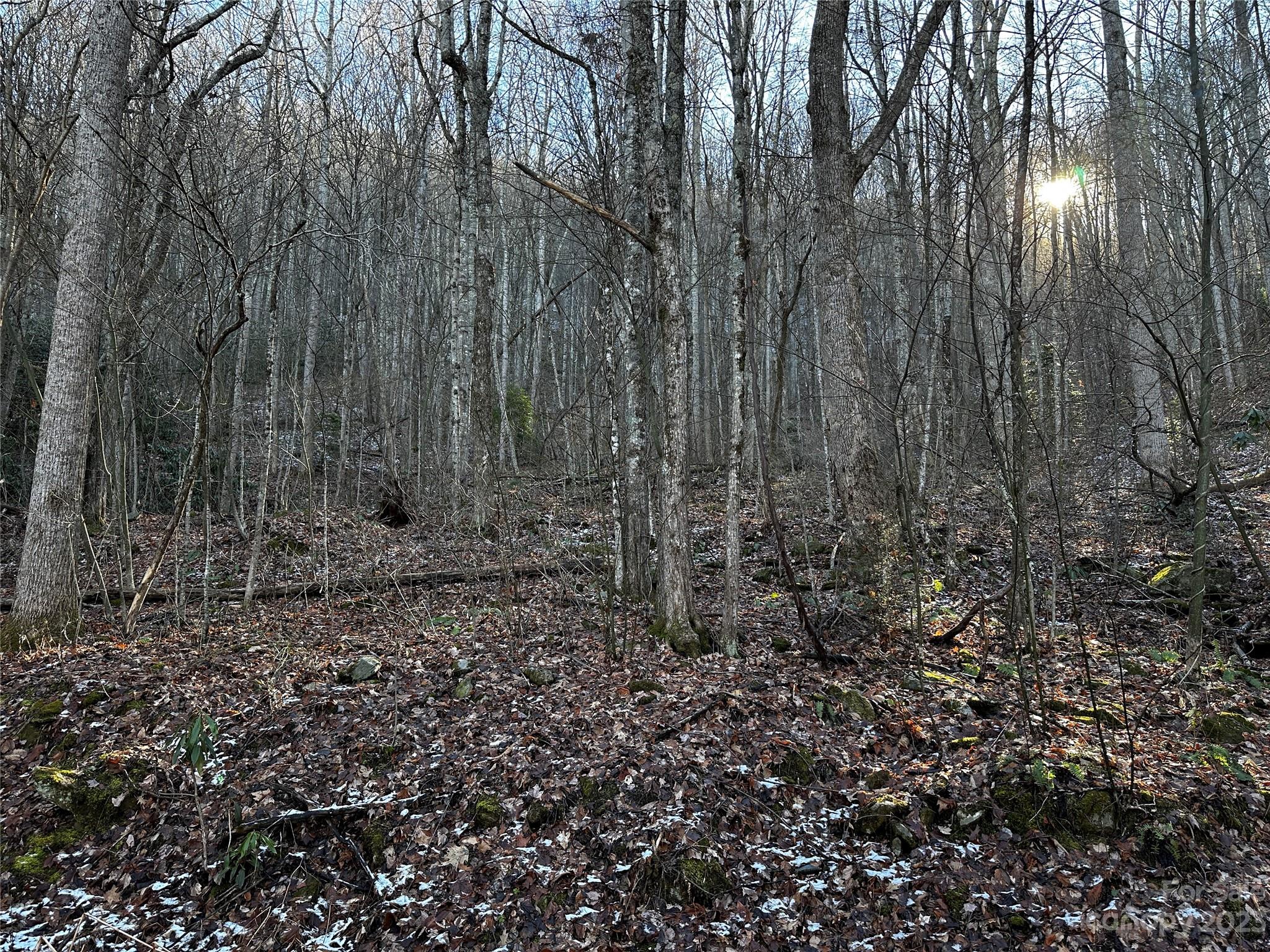 Lickstone View Ii - Land