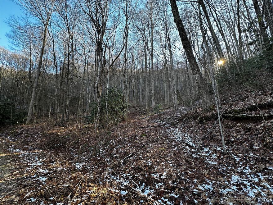 2 beautiful adjoining lots just off of Big Cove Rd on Osceola Cir just minutes to Waynesville. Gently rolling topography, easy year-round access to this locale, ensuring convenience and ease in crafting your ideal living space. Short-range winter views grace the horizon, creating a picturesque backdrop for your daily life. Perched at a higher elevation, this property offers the allure of elevated living without the need for a daunting drive. Whether you're envisioning a tranquil vacation retreat or a full-time residence surrounded by the beauty of Waynesville, the possibilities are boundless. No restrictions have been identified, offering you the freedom to design and build without constraints (buyer agent verification recommended). Taxes noted are for both parcels combined.