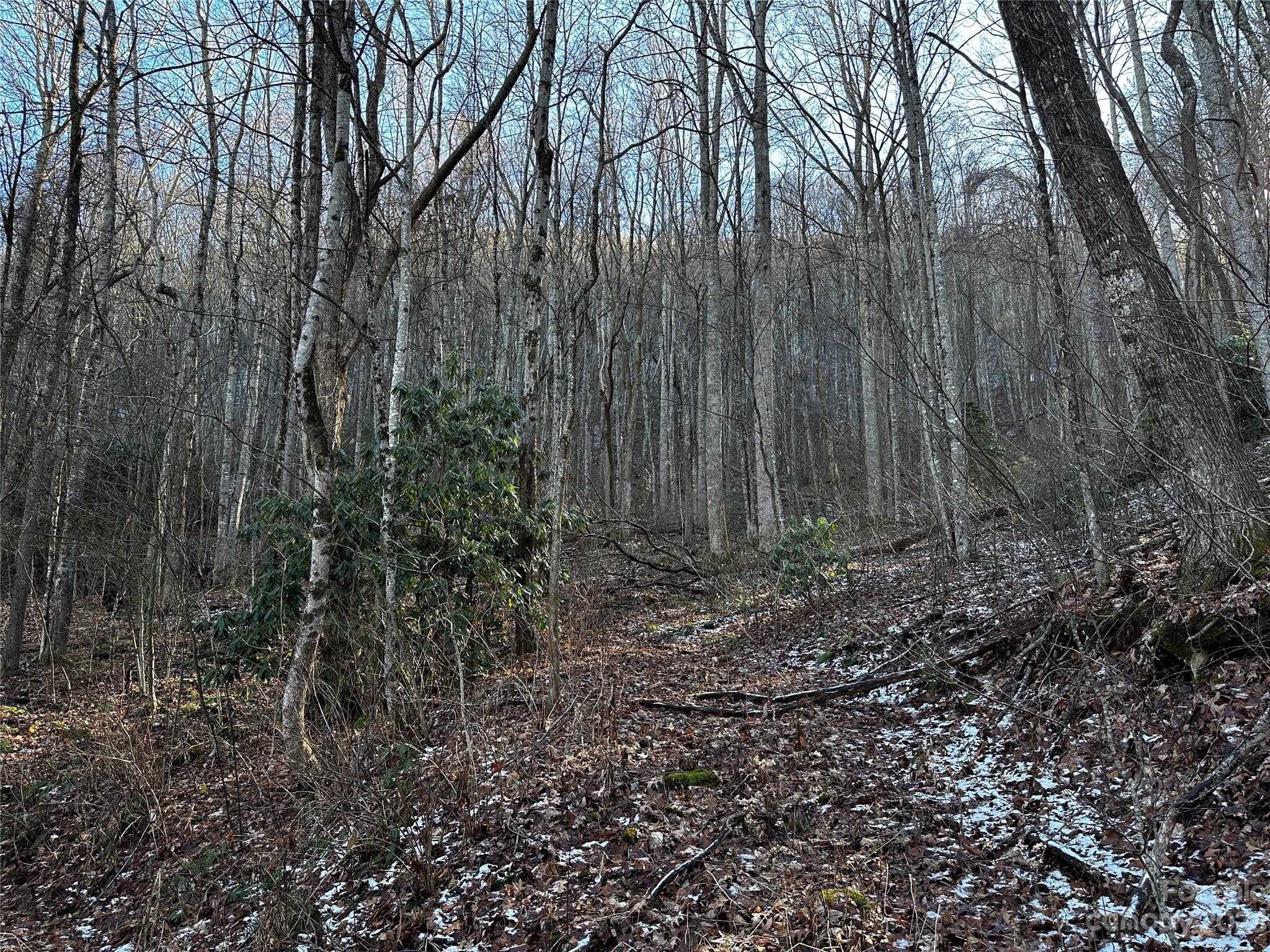 Lickstone View Ii - Land