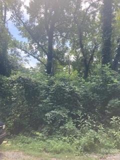 99999 Old Haw Creek Road Lot 2