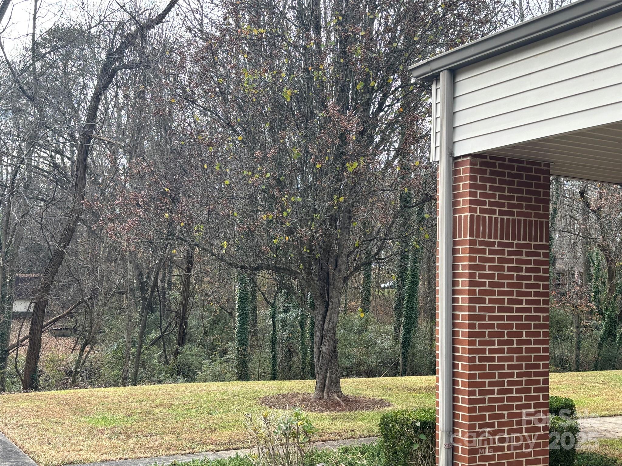 401 Woodhaven Street