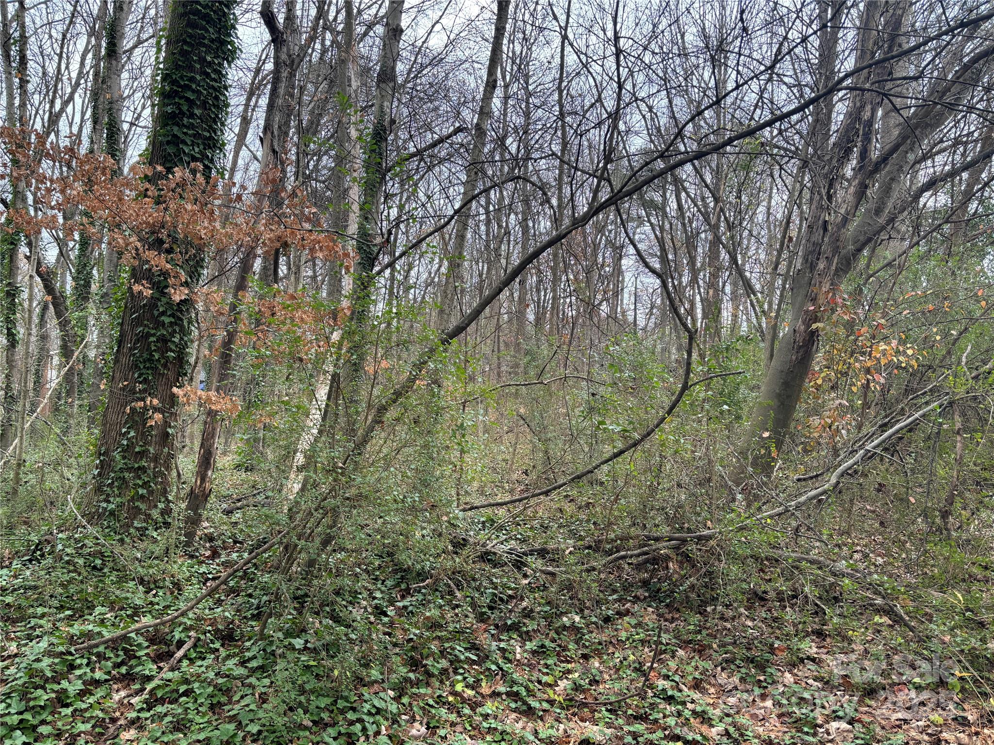 401 Woodhaven Street