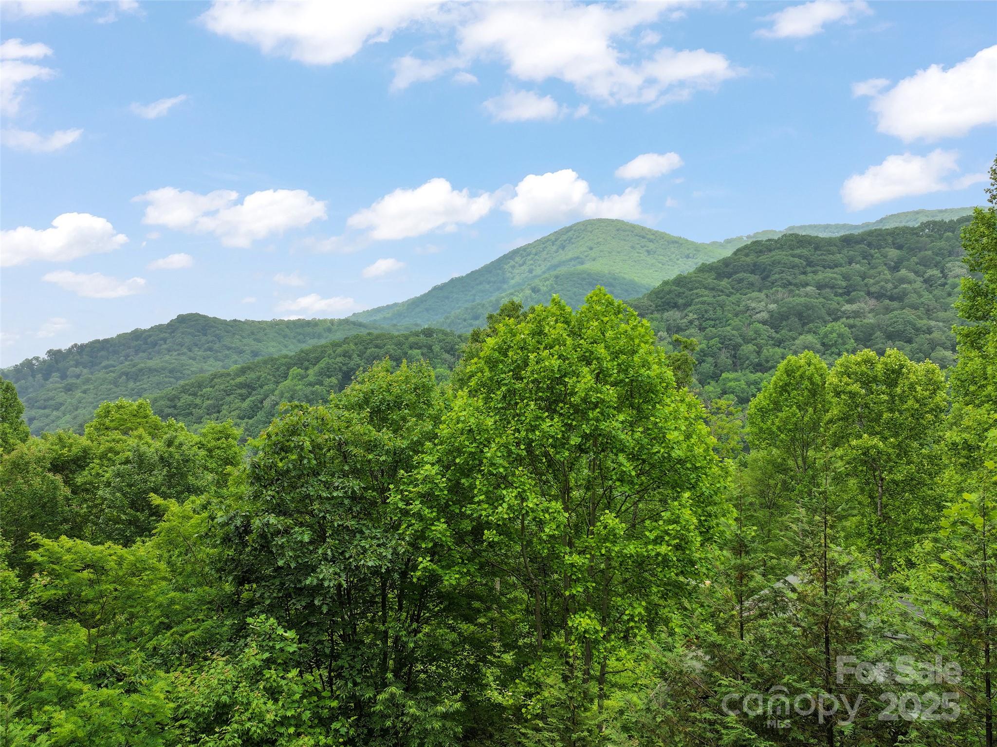314 Prosperity Ridge