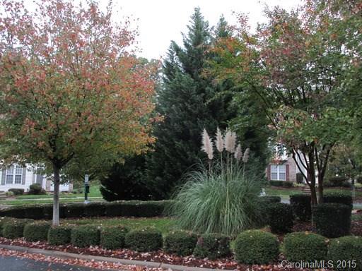 Rosedale - Residential Lease