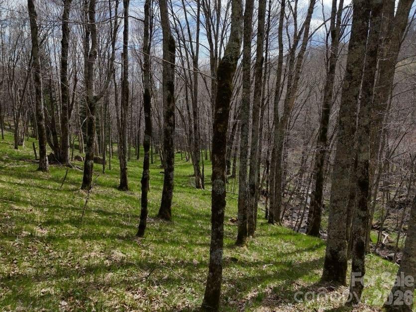 Valley of Roan - Residential