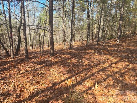 lot 60 Lake Adger Parkway 60 Mill Spring NC 28756