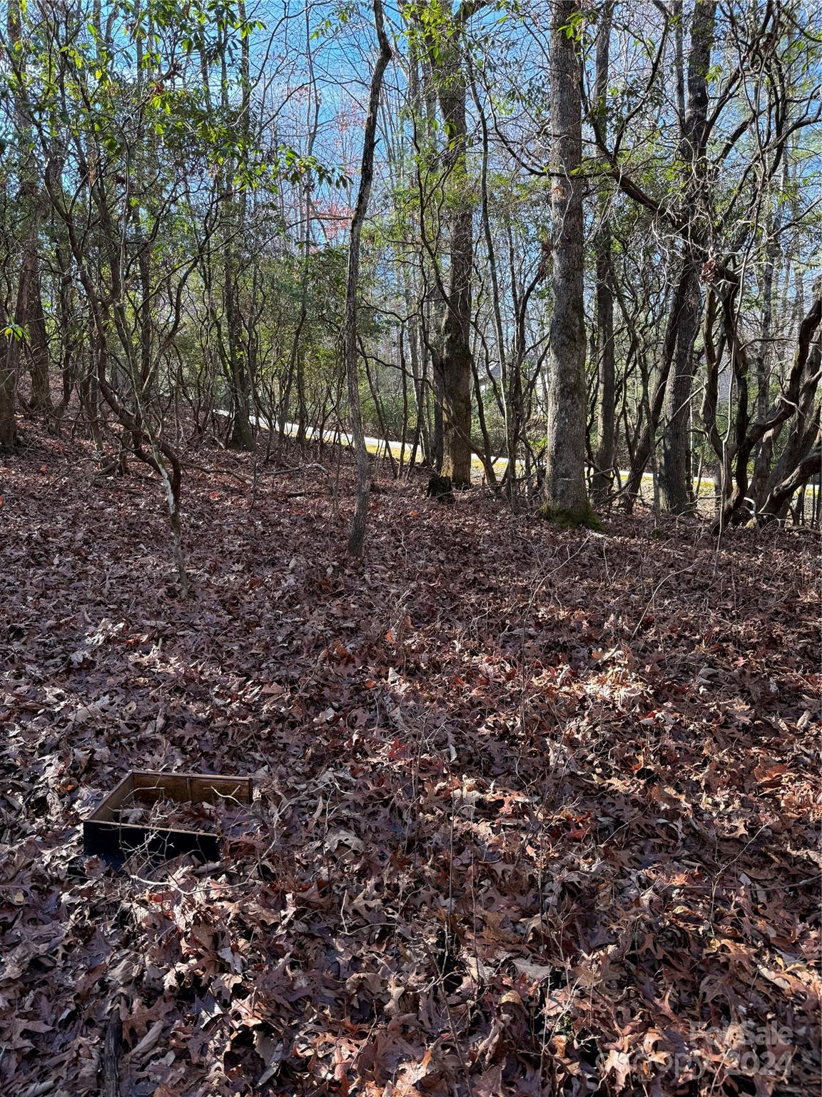 Connestee Falls - Land