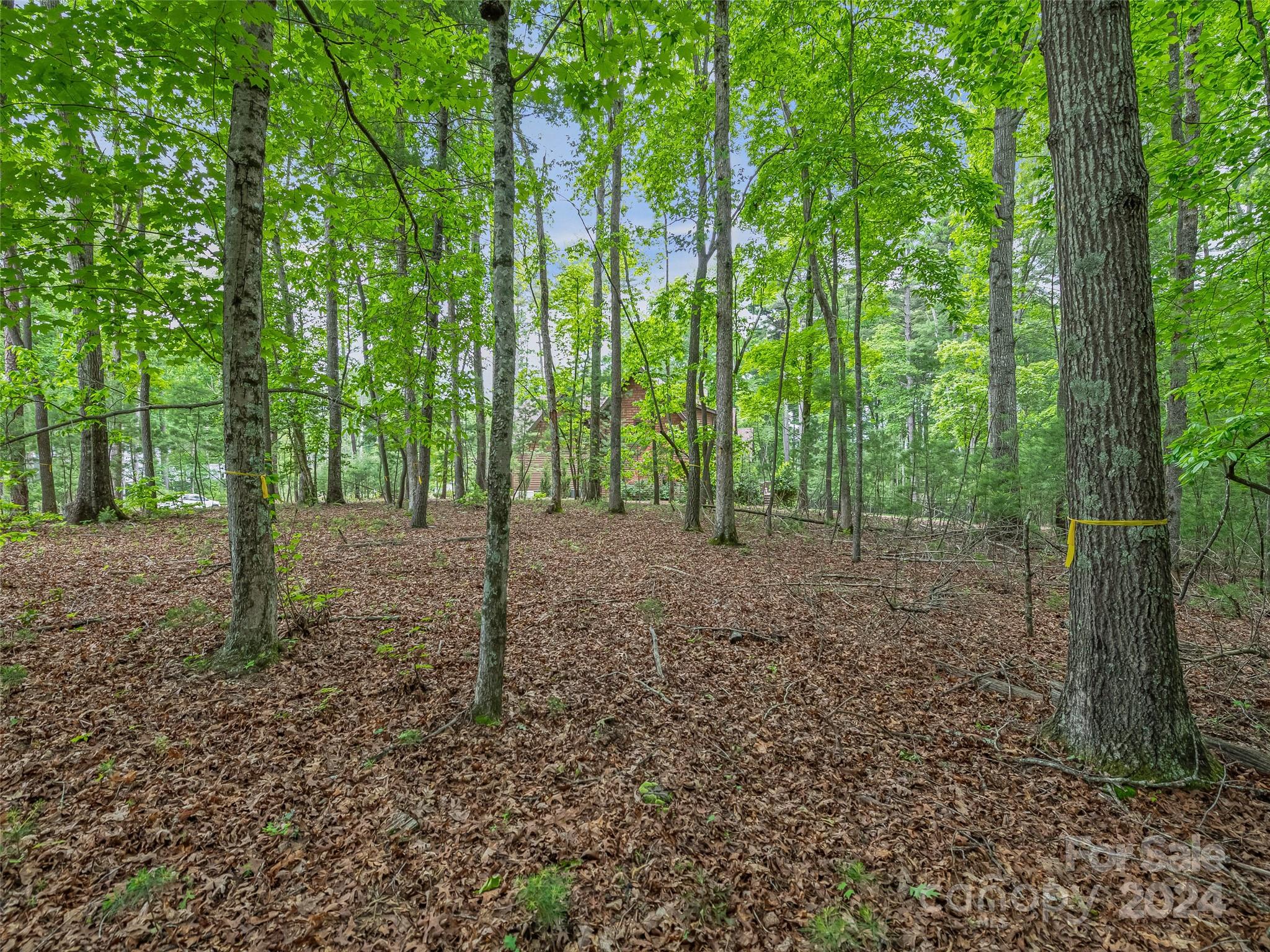 Ramble Biltmore Forest - Land