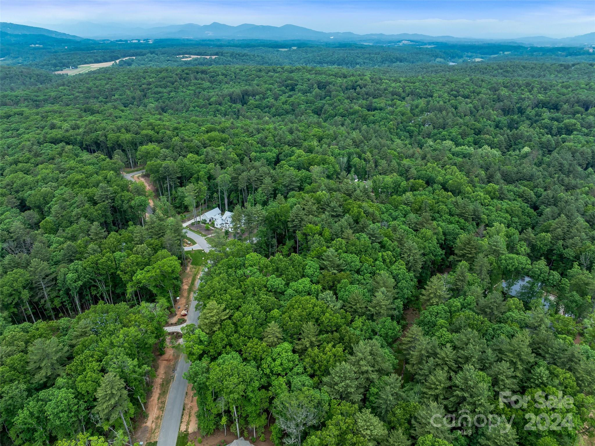 Ramble Biltmore Forest - Land