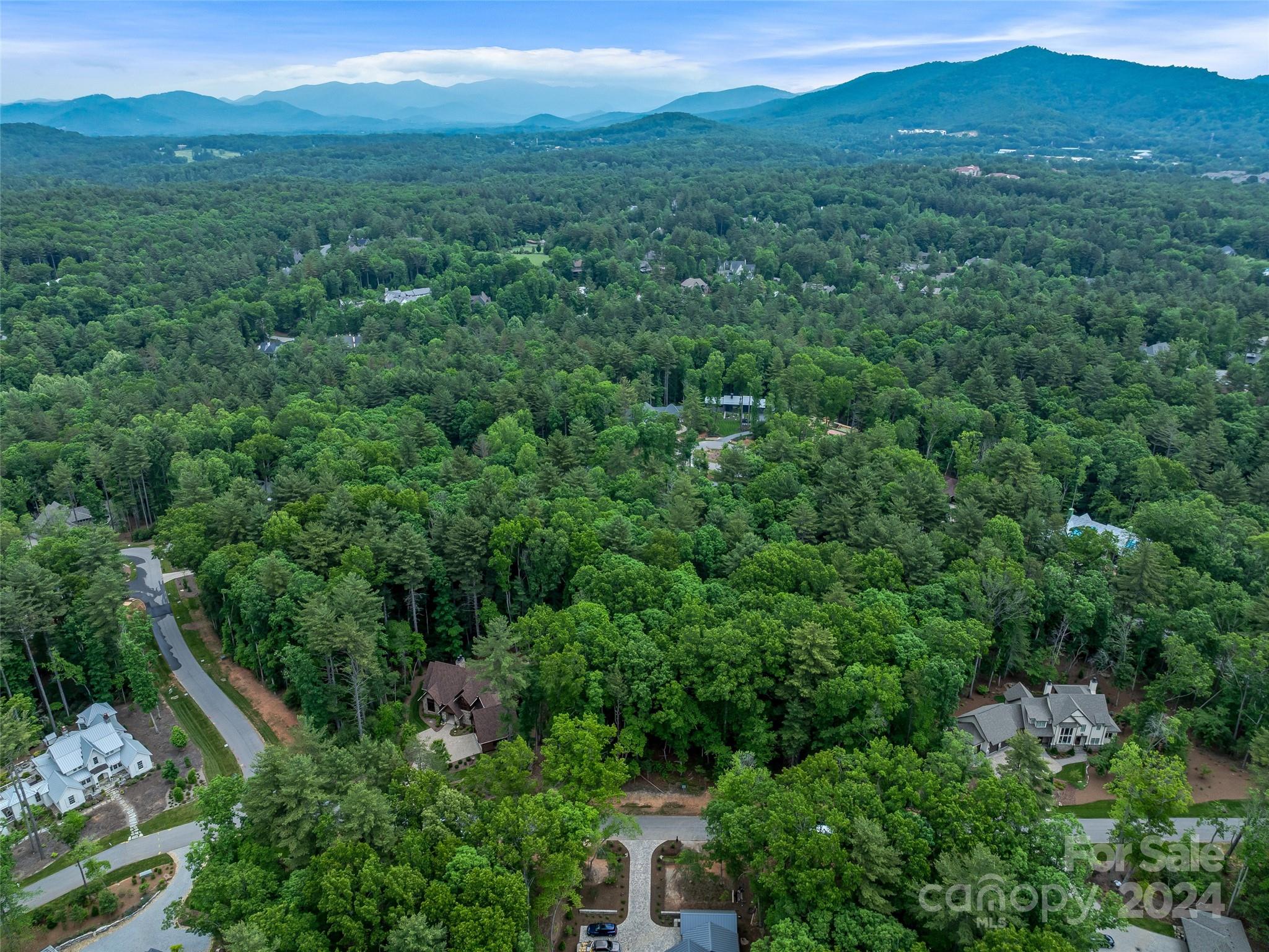 Ramble Biltmore Forest - Land