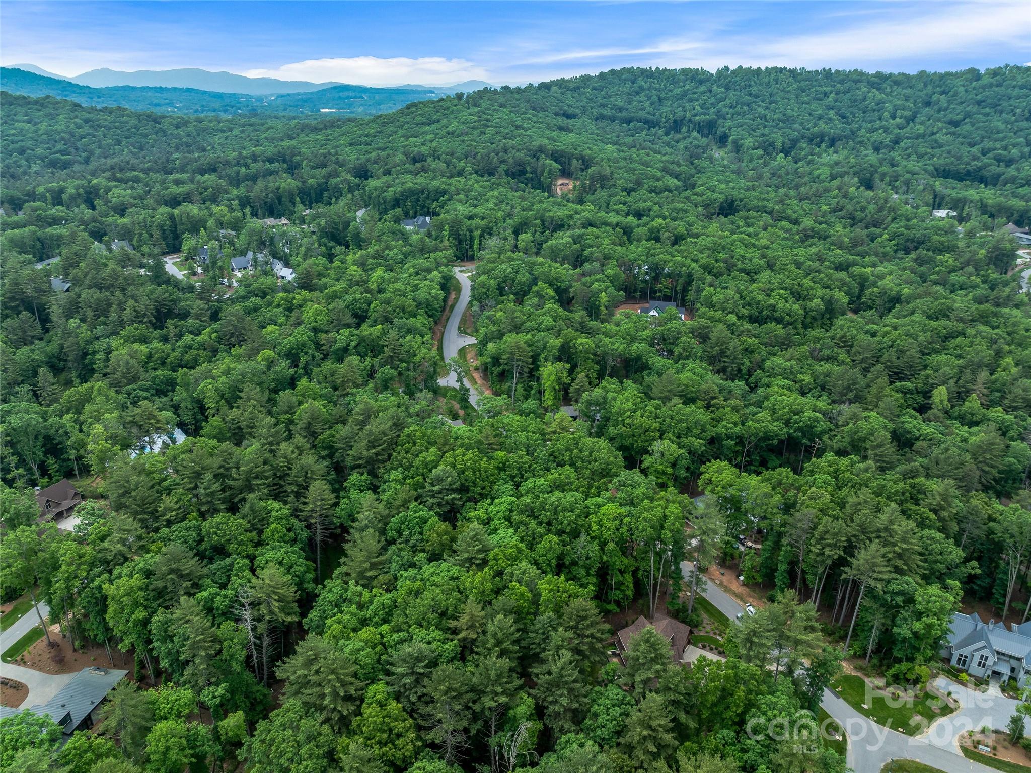 Ramble Biltmore Forest - Land