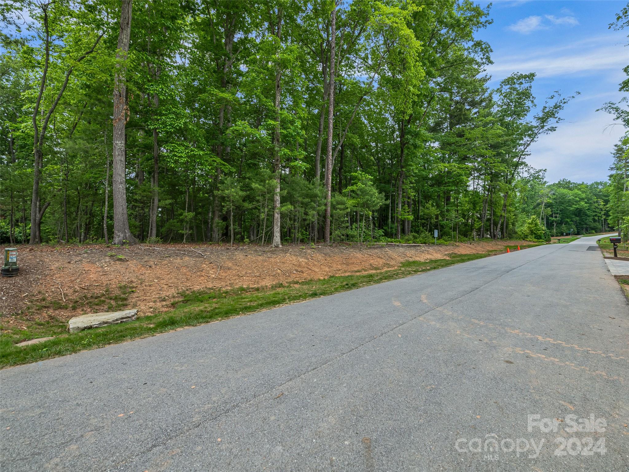 Ramble Biltmore Forest - Land