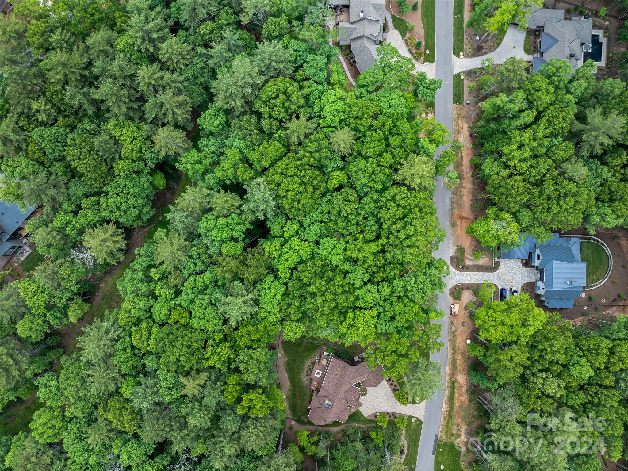 Ramble Biltmore Forest - Land