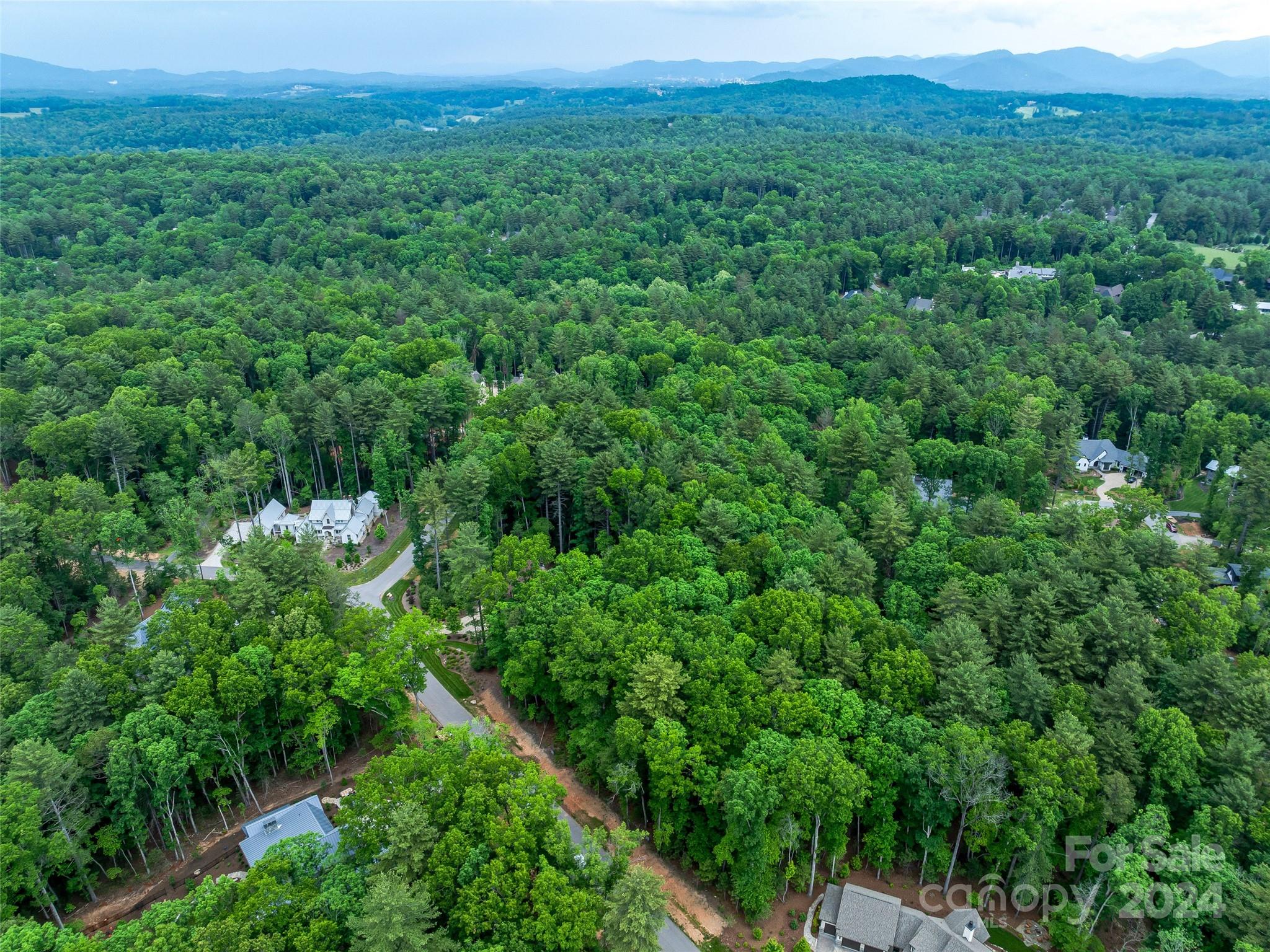 Ramble Biltmore Forest - Land