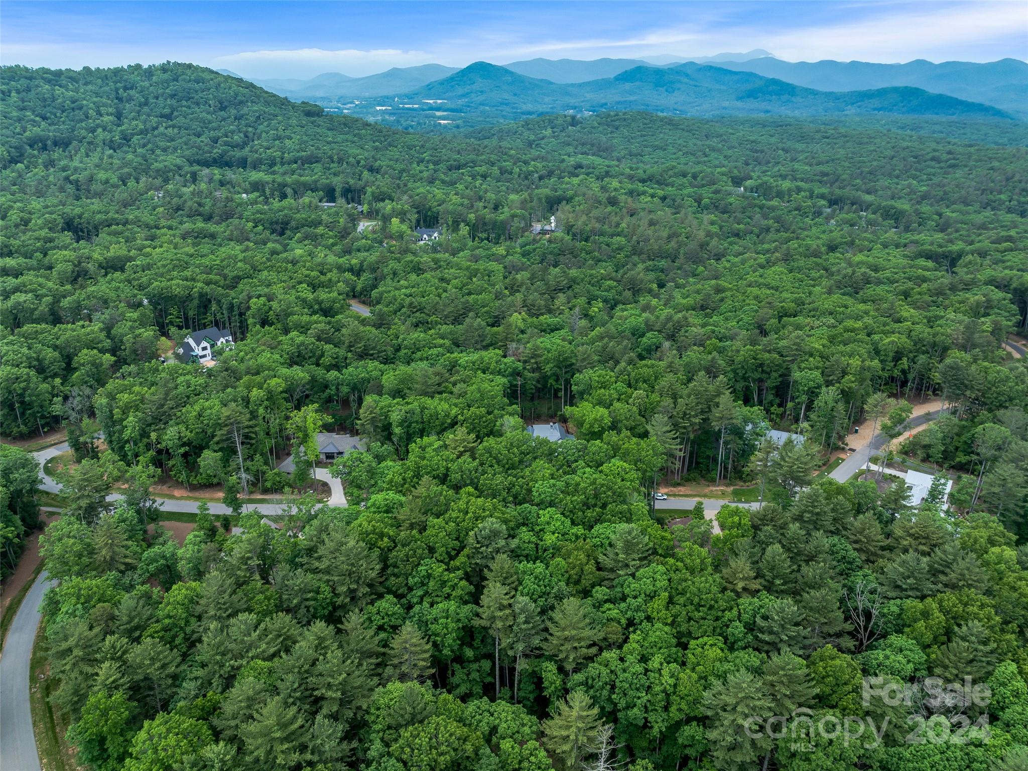Ramble Biltmore Forest - Land