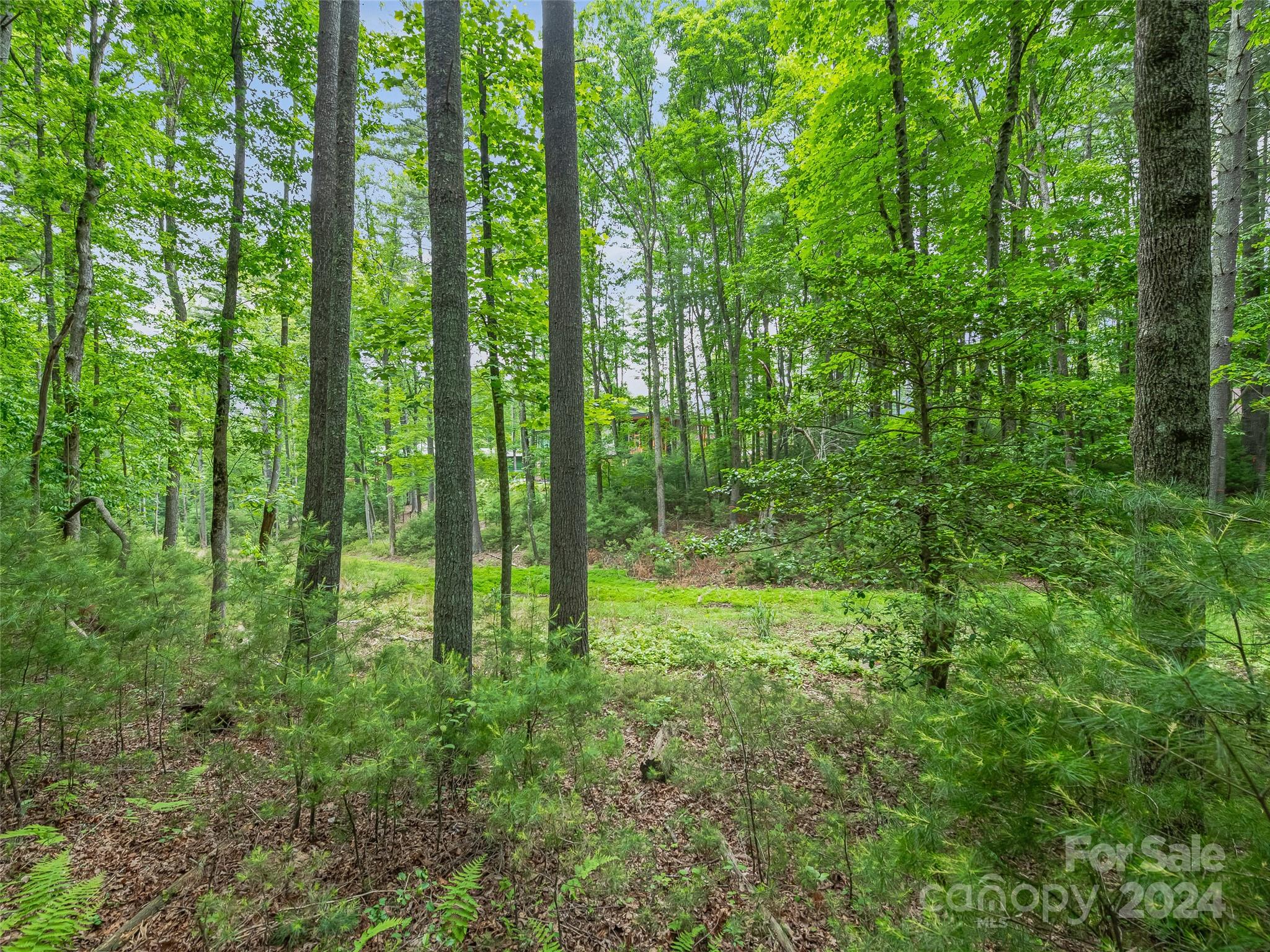 Ramble Biltmore Forest - Land