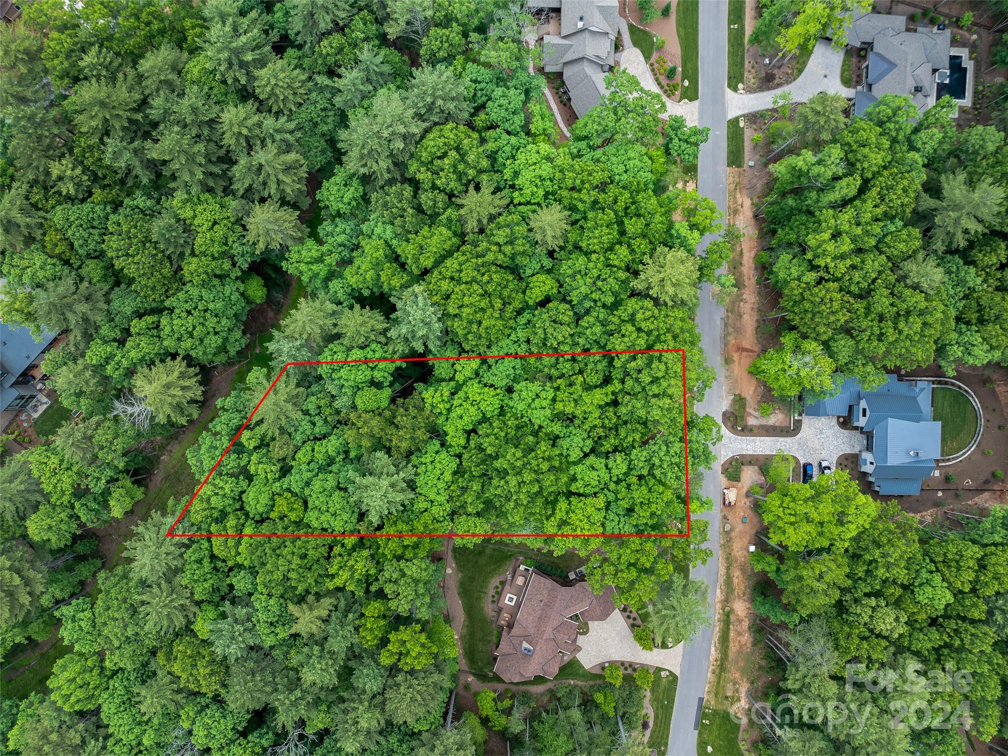 Ramble Biltmore Forest - Land