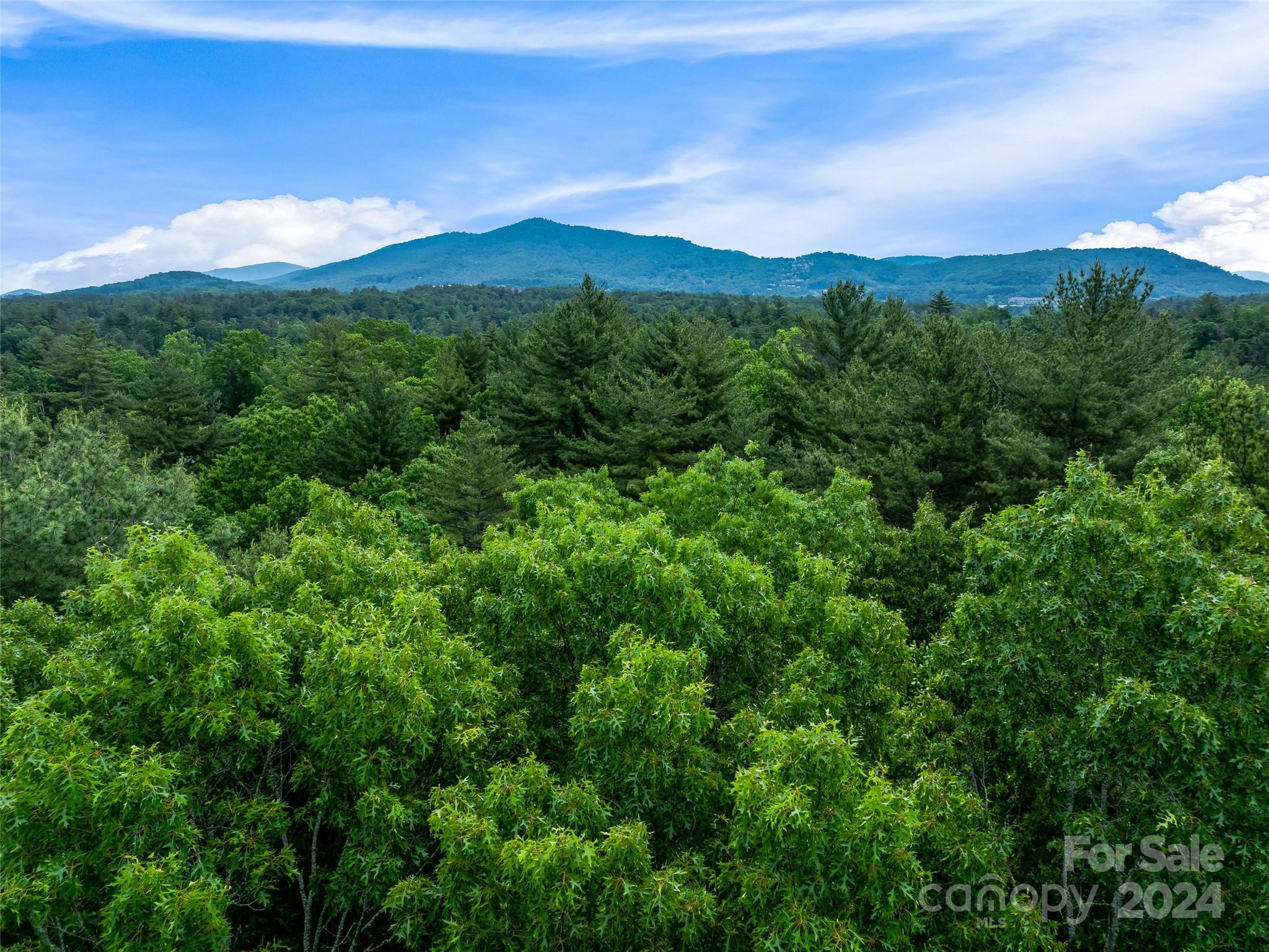 Ramble Biltmore Forest - Land